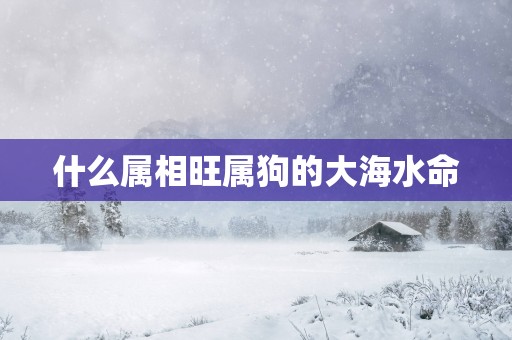 什么属相旺属狗的大海水命