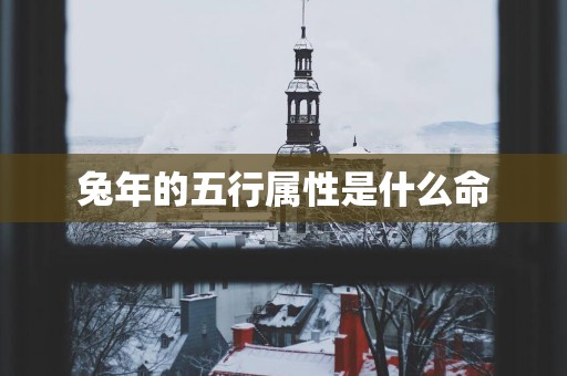 蛇年的五行属性是什么命
