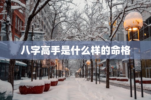 八字高手是什么样的命格