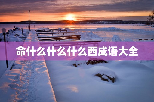 命什么什么什么西成语大全
