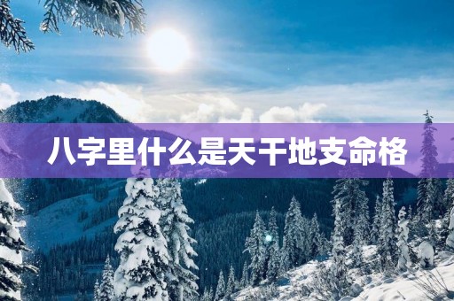 八字里什么是天干地支命格