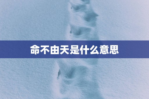 命不由天是什么意思
