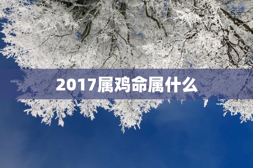 2017属鸡命属什么