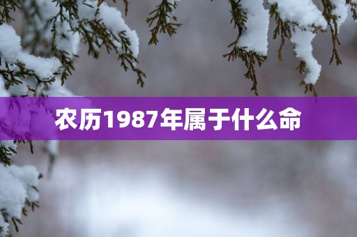 农历1987年属于什么命