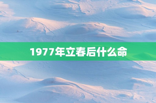 1977年立春后什么命
