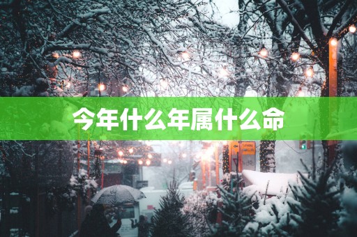 今年什么年属什么命