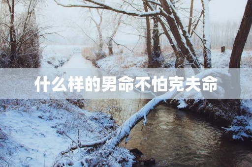 什么样的男命不怕克夫命