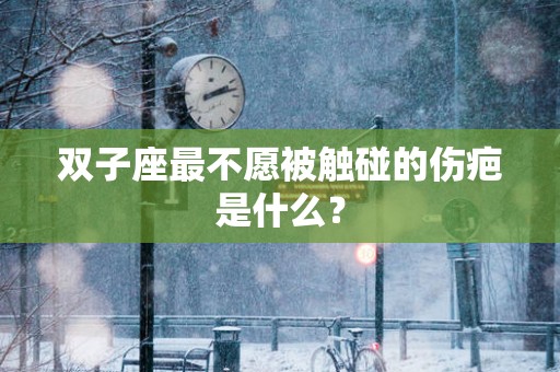 双子座最不愿被触碰的伤疤是什么？
