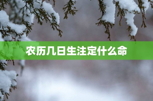 农历几日生注定什么命