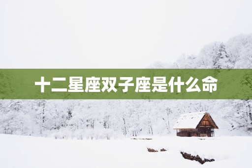 十二星座双子座是什么命