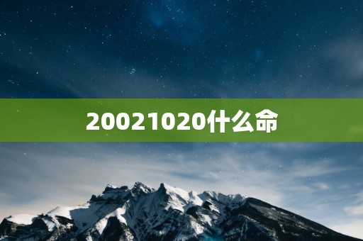 20021020什么命