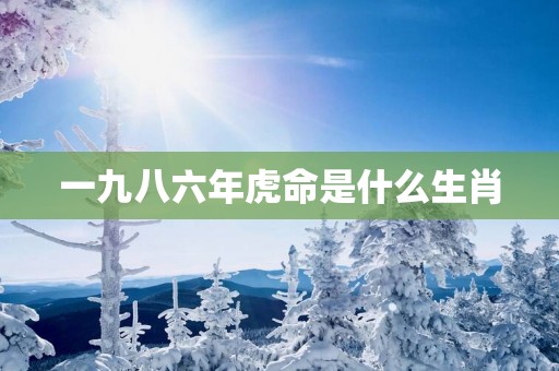 一九八六年虎命是什么生肖