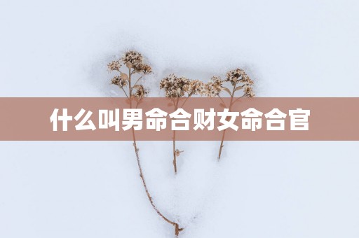 什么叫男命合财女命合官