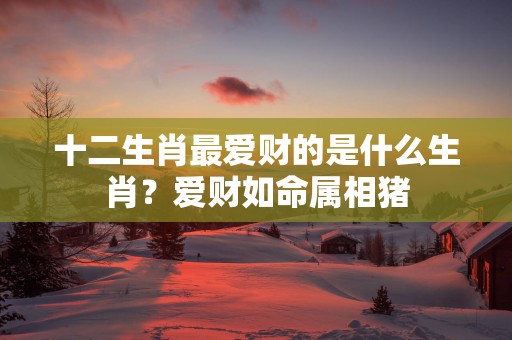 十二生肖最爱财的是什么生肖？爱财如命属相猪
