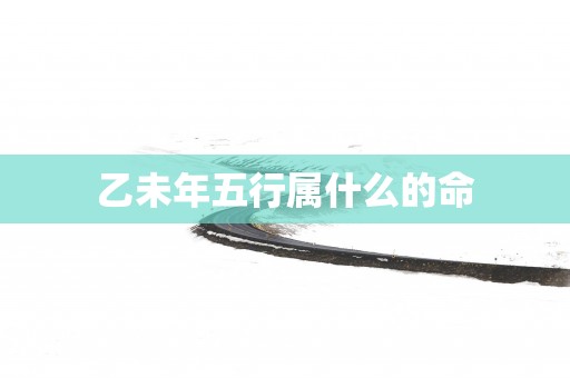 乙未年五行属什么的命