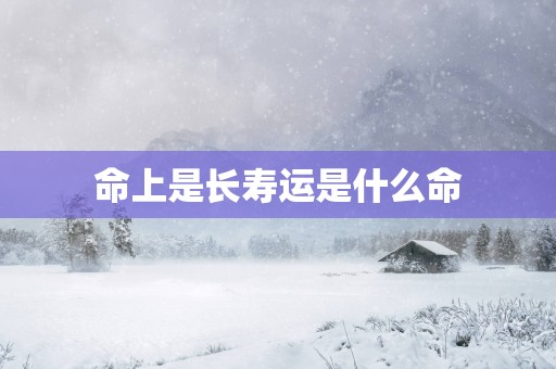 命上是长寿运是什么命
