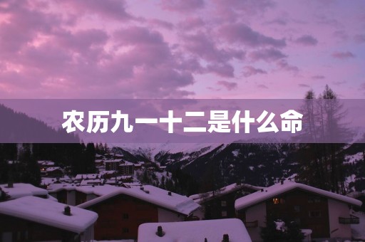 农历九一十二是什么命