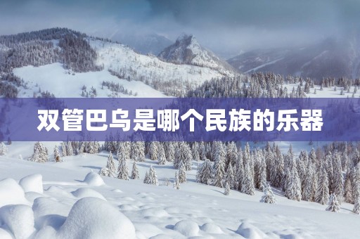 双管巴乌是哪个民族的乐器