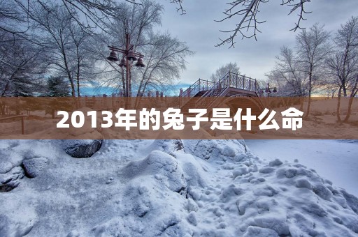 2013年的兔子是什么命