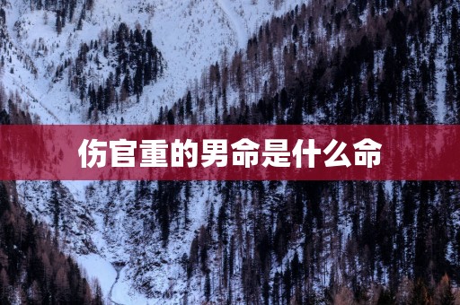 伤官重的男命是什么命