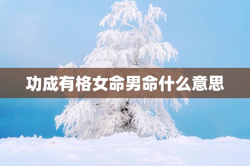 功成有格女命男命什么意思