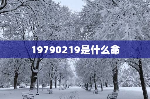 19790219是什么命