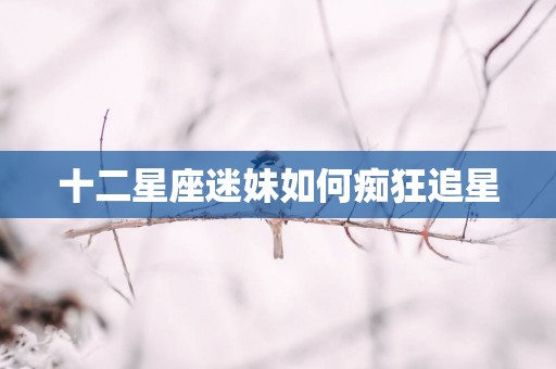 十二星座迷妹如何痴狂追星