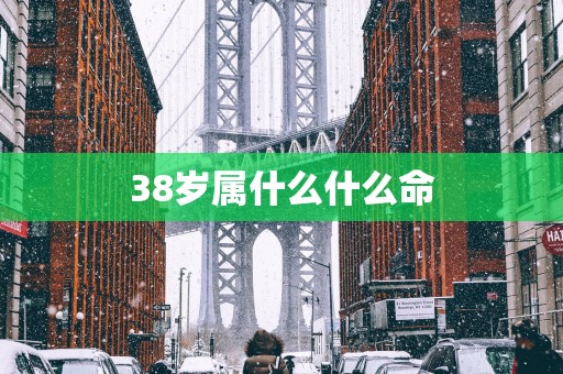 38岁属什么什么命