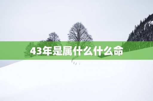 43年是属什么什么命