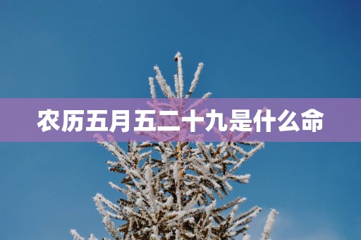农历五月五二十九是什么命