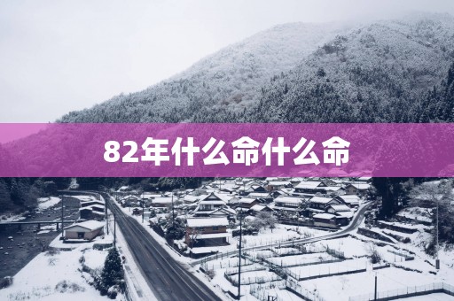 82年什么命什么命