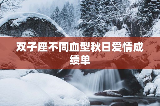 双子座不同血型秋日爱情成绩单