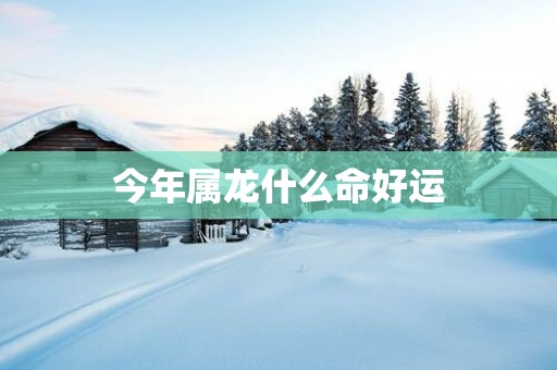 今年属龙什么命好运