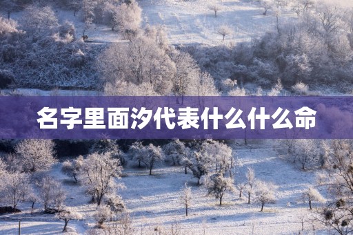 名字里面汐代表什么什么命