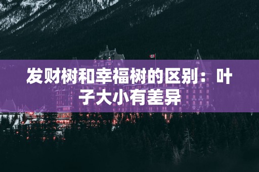 发财树和幸福树的区别：叶子大小有差异