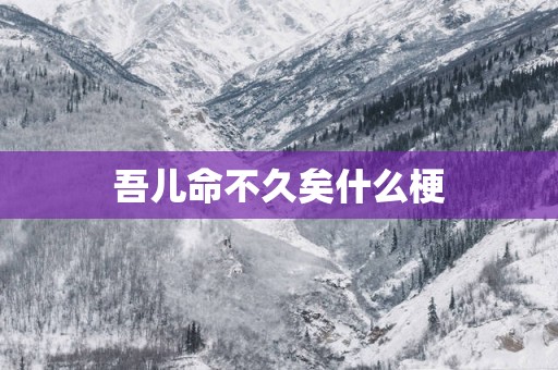 吾儿命不久矣什么梗