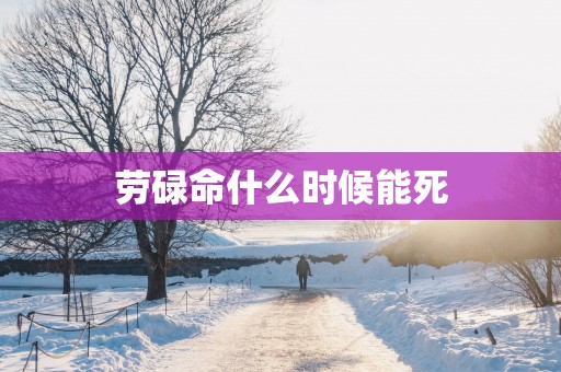 劳碌命什么时候能死