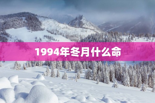 1994年冬月什么命