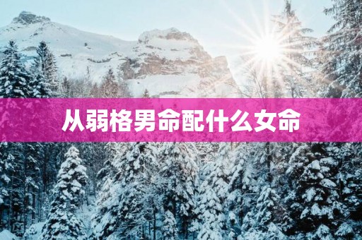 从弱格男命配什么女命