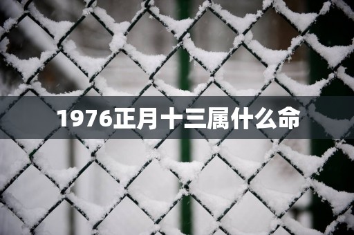 1976正月十三属什么命