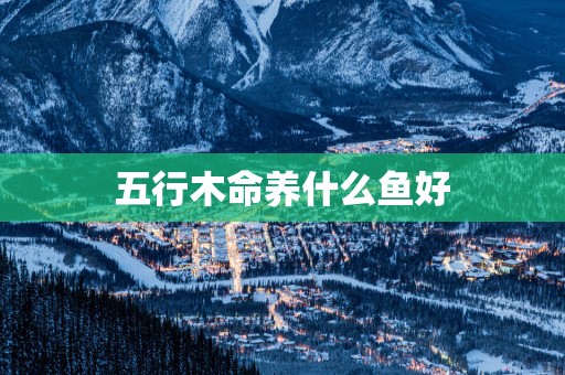 五行木命养什么鱼好