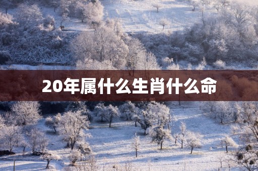 20年属什么生肖什么命