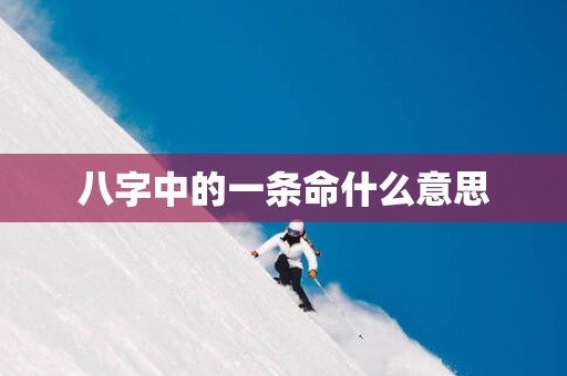 八字中的一条命什么意思