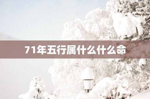 71年五行属什么什么命