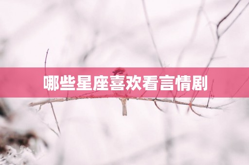 哪些星座喜欢看言情剧