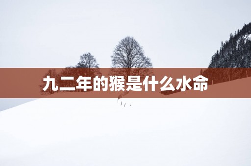 九二年的猴是什么水命