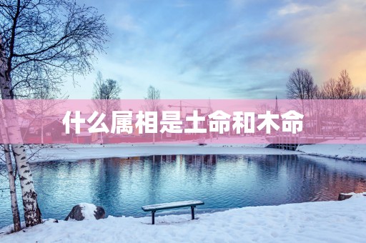 什么属相是土命和木命