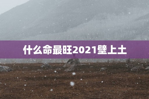 什么命最旺2025壁上土