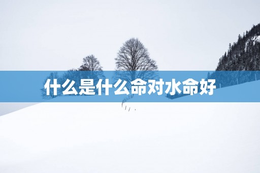 什么是什么命对水命好