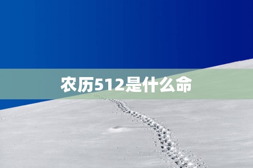 农历512是什么命